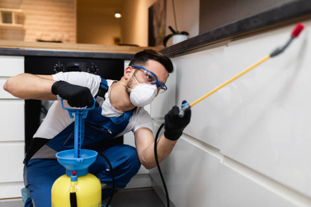Best Residential Pest Control  in Lacy Lakeview, TX