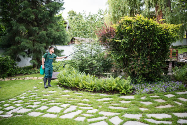 Best Affordable Pest Control Services  in Lacy Lakeview, TX