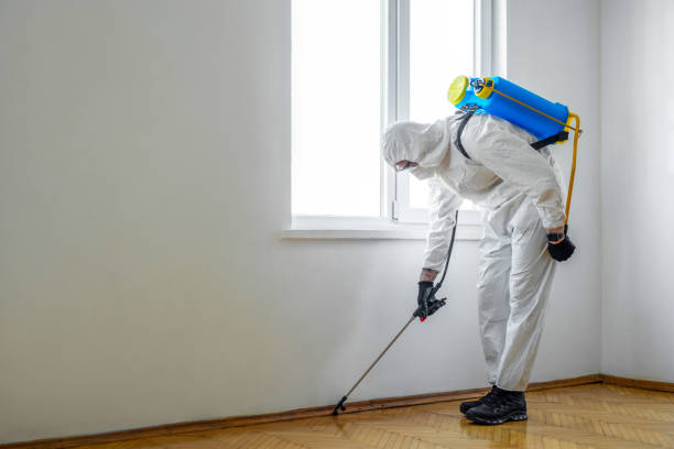 Reliable Lacy Lakeview, TX Pest Control Solutions